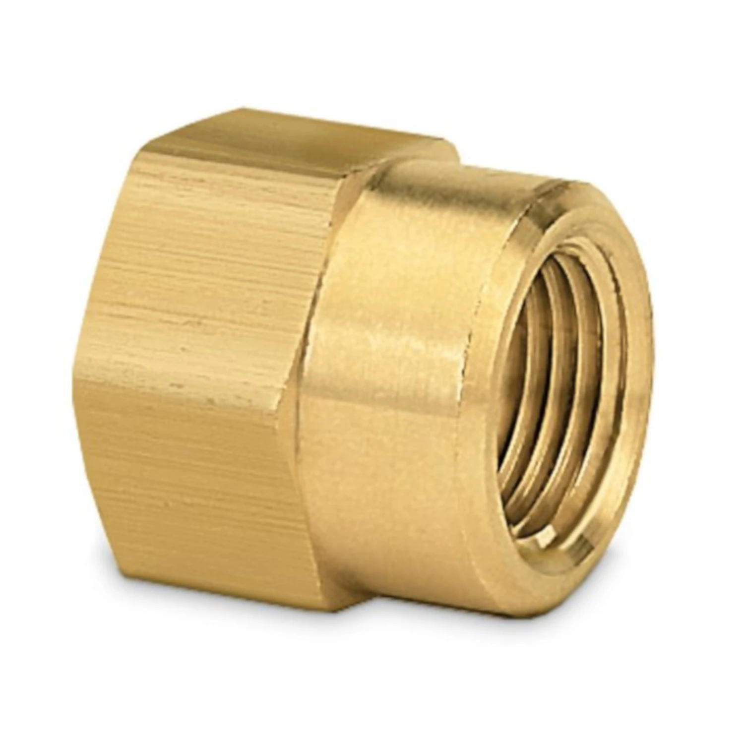 1/2 In. Brass Threaded Double Female Hose Connector - Durable And Reliable