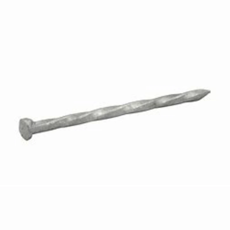 6d 2 In. Hot-dipped Galvanized Steel Siding Nail Flat Head 1 Lb