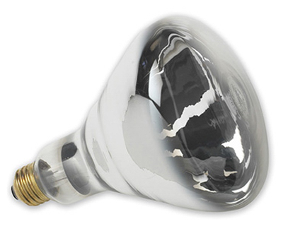 HEAT LAMP BULB CLEAR 250WATT