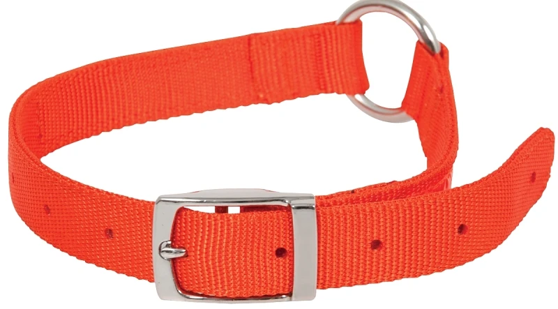 Ruffmaxx Adjustable O-ring Dog Collar, 1 In Wide, 20 To 28 In Length, Orange