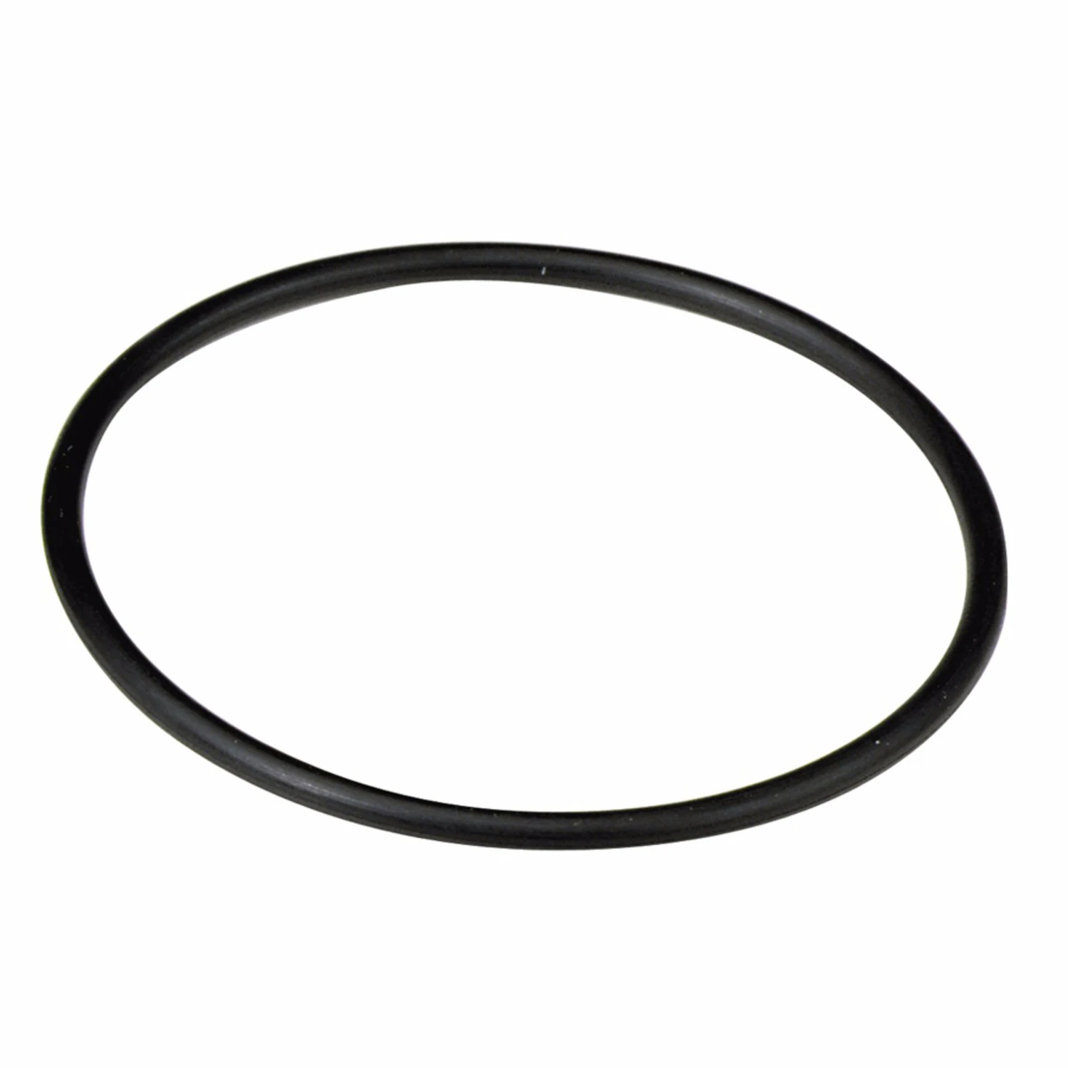 Water Filter Housing O-Ring