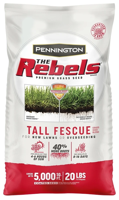Rebel Fescue Grass Seed, 20 Pounds Bag for Lawn and Turf Establishment