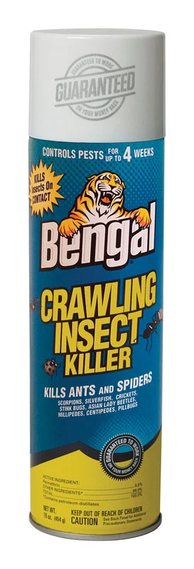16 Oz. Aerosol Crawling Insect Killer - Effective Indoor/outdoor Pest Control
