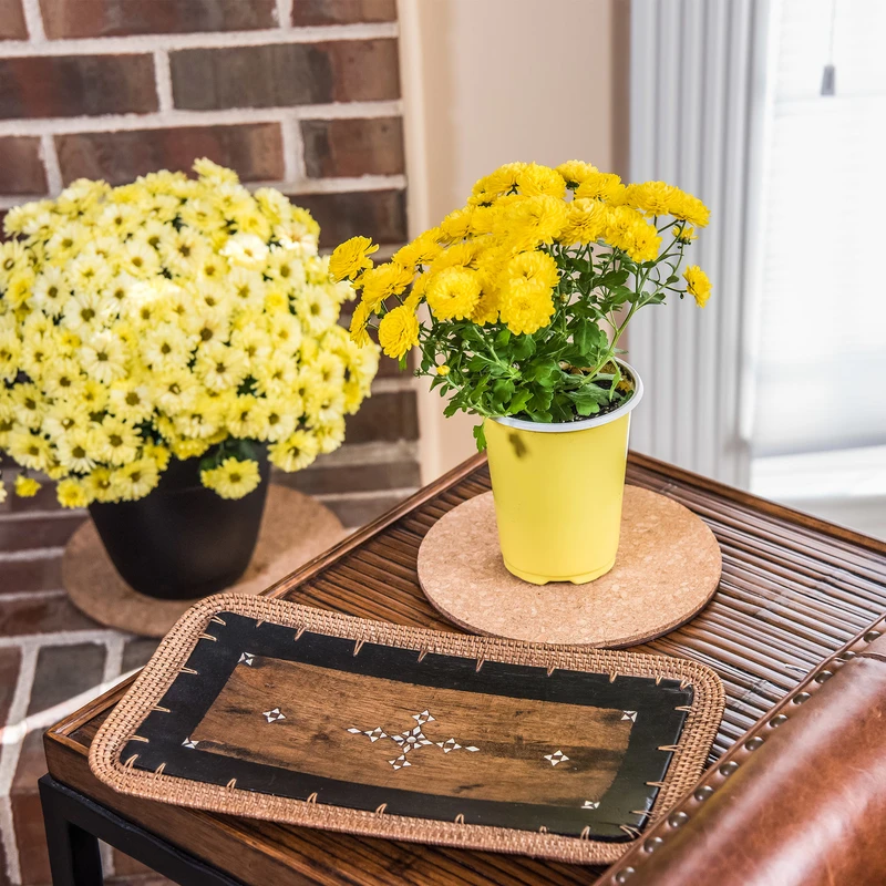 0.3 In. H X 6 In. W Brown Cork Planter Mat
