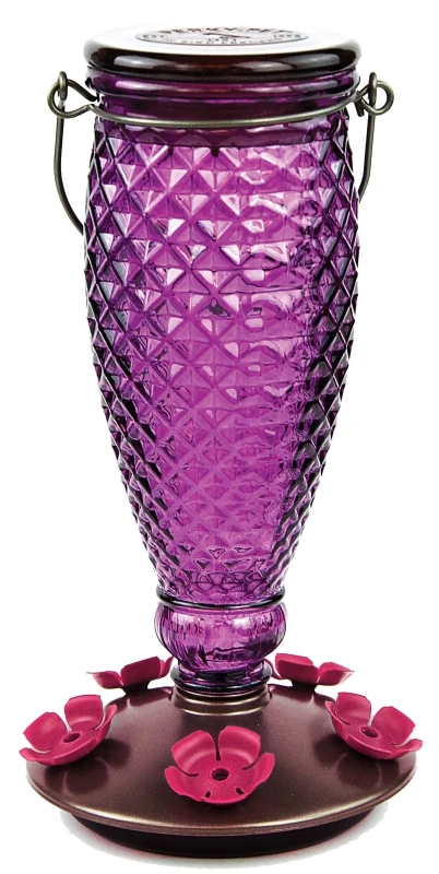 Diamond Wine 24 Oz. Glass Top-fill Hummingbird Feeder With 5 Ports