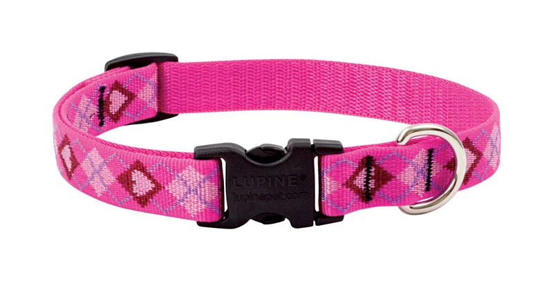 Pet Original Designs Multicolor Puppy Love Nylon Dog Adjustable Collar 9-14 Inches