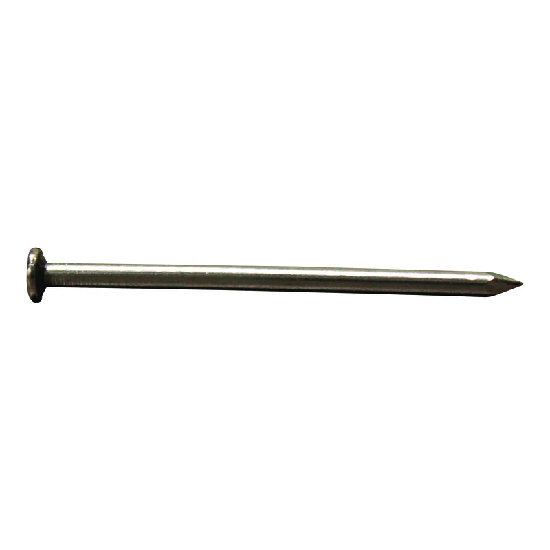 10d 3 In. Common Bright Steel Nail Flat Head Smooth Shank 1 Lb