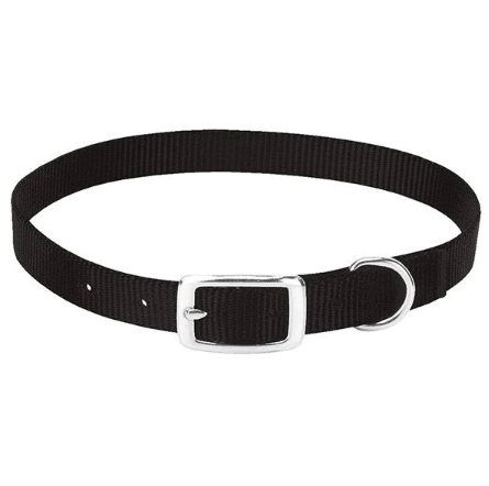 Livestock Goat Collar, Black, Small, 5/8" Width