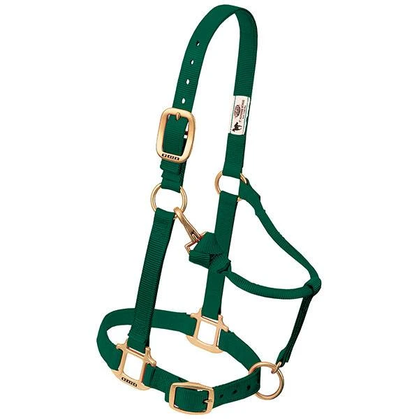 NYLON HALTER ORIG 1" YRLNG GRN