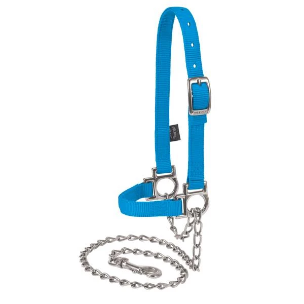 SHEEP HALTER,HUR BLUE