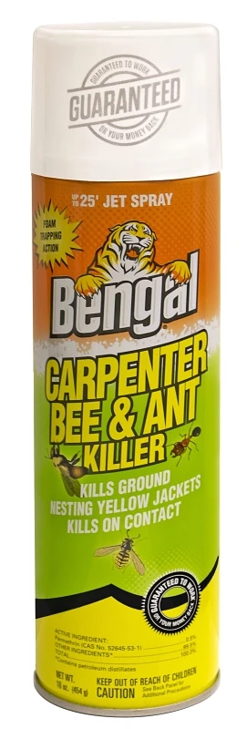KILLER CPNTR BEE&ANT FOAM 16OZ
