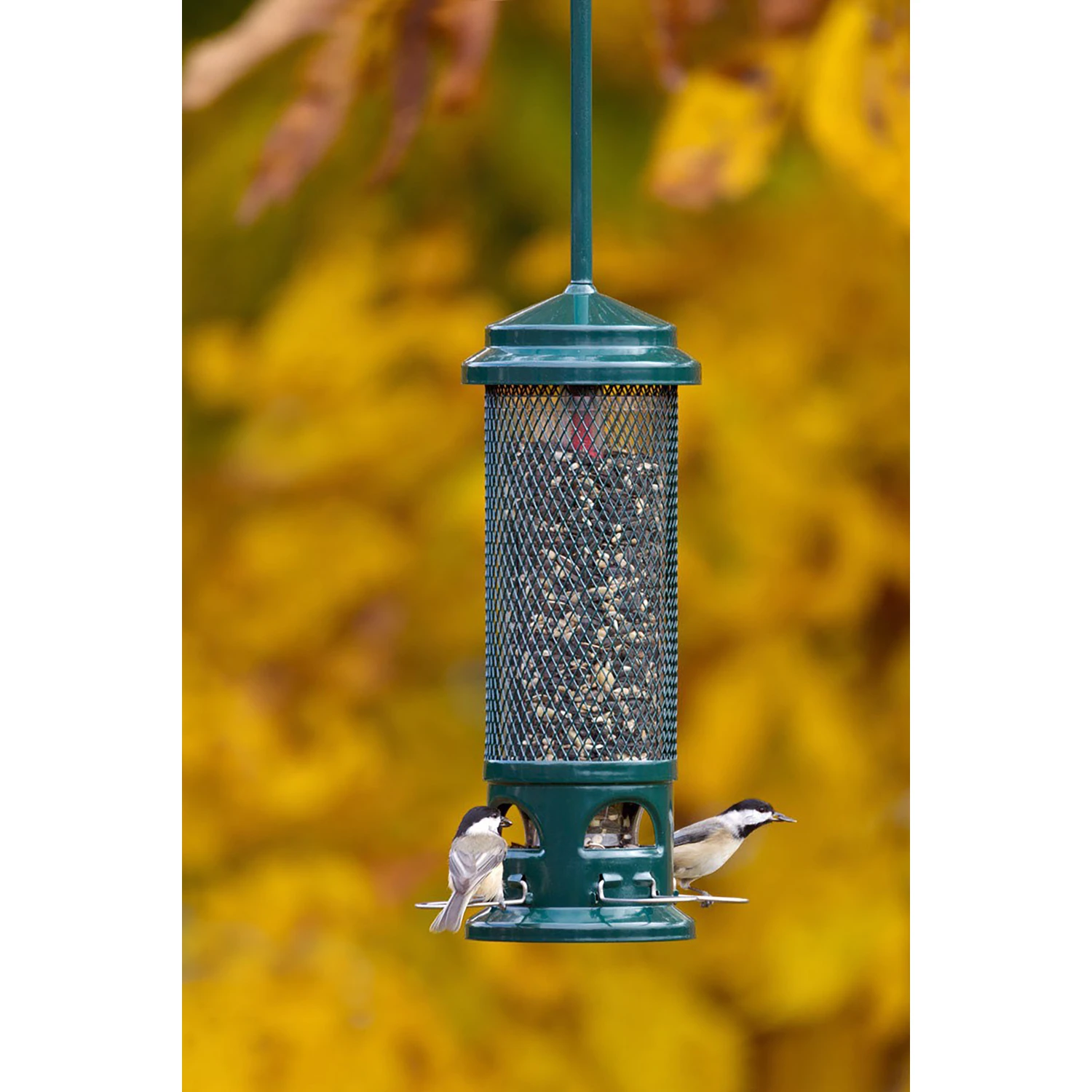 Birdfeeder Squirrel Buster Legacy