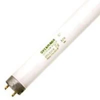 Sylvania Fluorescent 48" Straight Cool White ECO Tube Lamp T8 Medium Bipin Base 120V Light Bulb 32W Equivalent 150W 2 Pack - OSRAM SYLVANIA INC.
