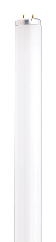 Satco 20 W T12 1.5 in. D X 23.78 in. L Fluorescent Bulb Cool White Linear 4100 K 1 pk
