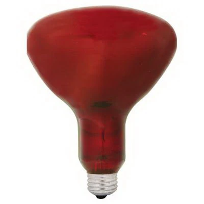 250-watt Red Infrared Heat Reflector Light Bulb R40 Medium Base