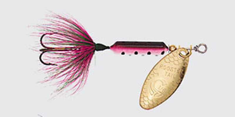 Worden's Original Rooster Tail Spinner Lure, 1/8 Oz., Rainbow Color