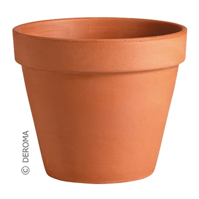 3" STD Clay Pot