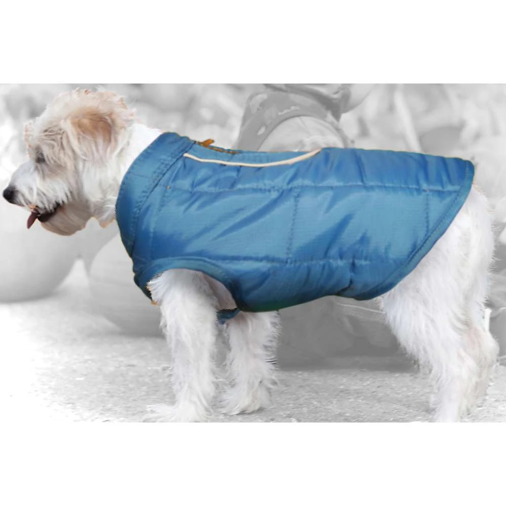 Loft Dog Jacket Medium Blue/orange - Stylish And Functional Pet Apparel