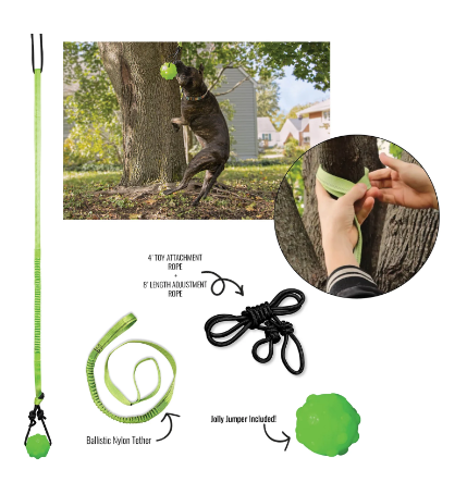 Jolly Pet Tree Tugger Dog Toy, Small, Green And Black, Model Jp071