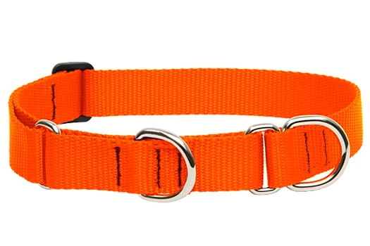 52556 1 Inch Blaze Orange 19-27 Inch Designer Combo Dog Collar