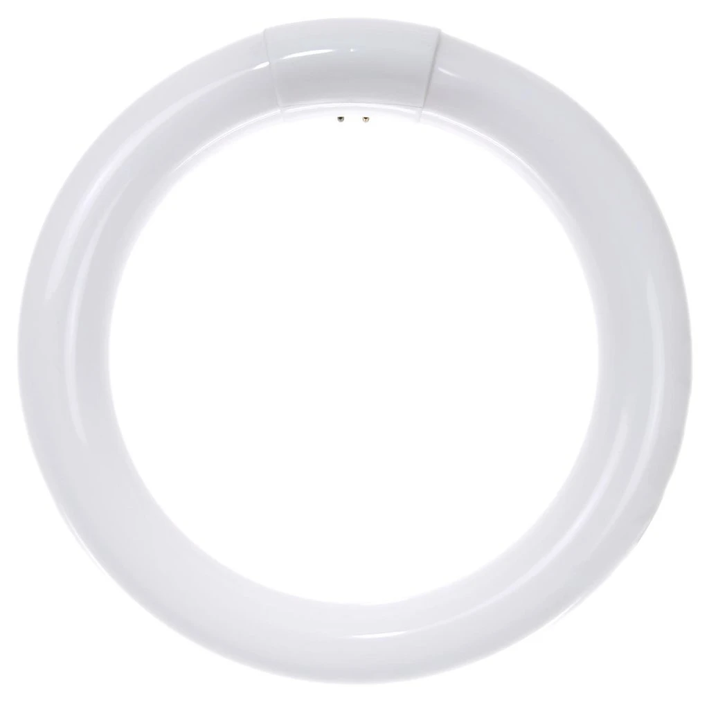 SUNLITE 22W 120V T9 Cool White Circline Fluorescent Bulb