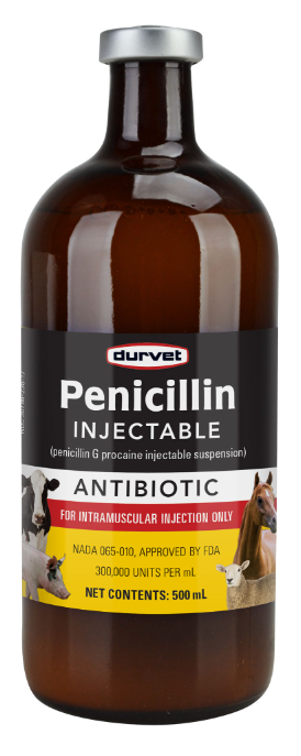 PEN-AQUEOUS G PROCAIN
