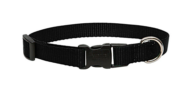 Lupine Pet Basic Solids Black Nylon Adjustable Dog Collar 13-22 Inches