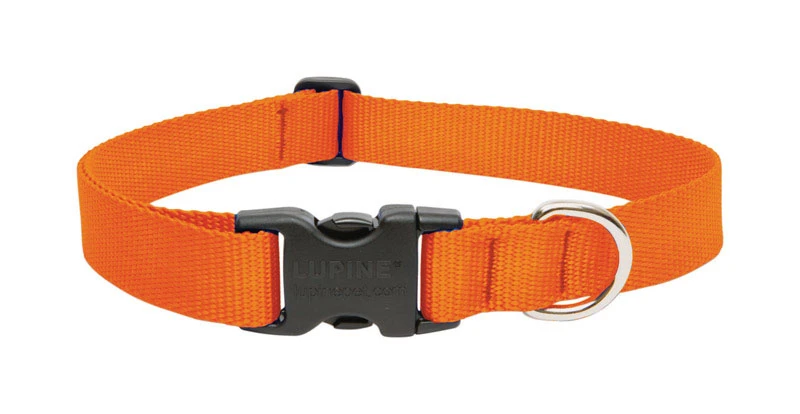 Lupine Pet Basic Solids Blaze Orange Nylon Dog Adjustable Collar 12-20 In.