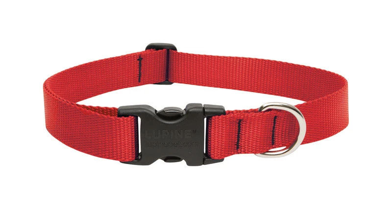 Lupine Pet Basic Solids Red Nylon Adjustable Dog Collar 16-28 Inches