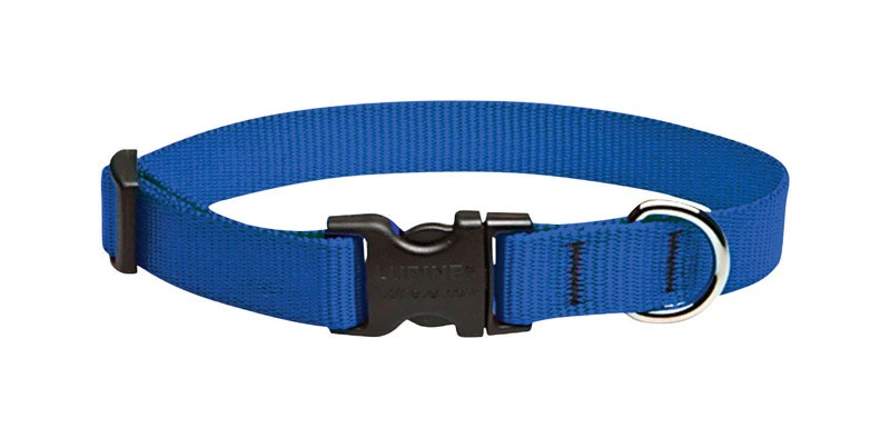 Lupine Pet Basic Solids Blue Nylon Adjustable Dog Collar 13-22 Inches