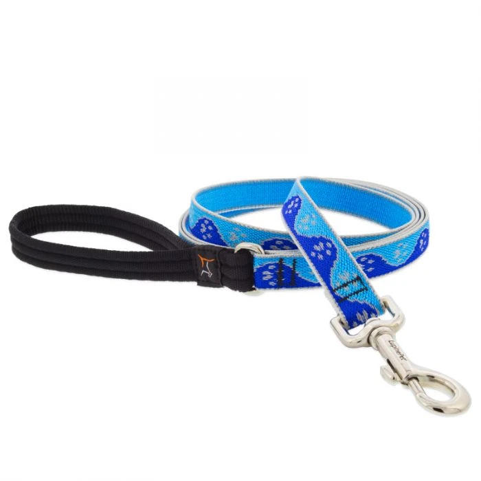 Reflective Dog Leash with Blue Paws Pattern, Three Quarter Inch by Six Feet