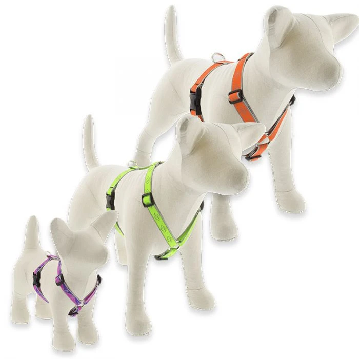 Reflective Dog Leash, 3/4-inch X 6-feet, Orange Diamond Pattern