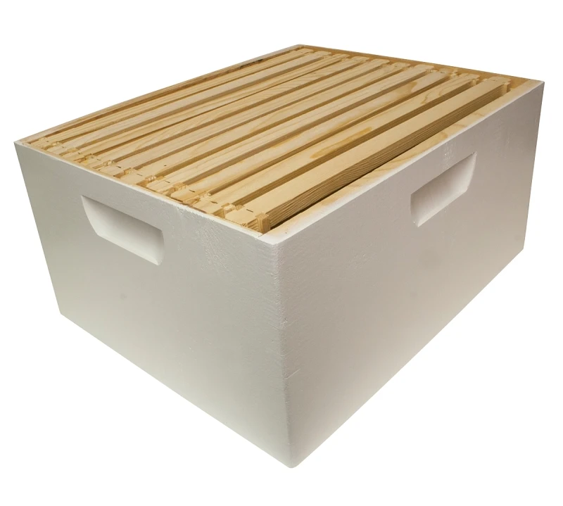 Beehive Body With 10 Frames And Plastic Foundation
