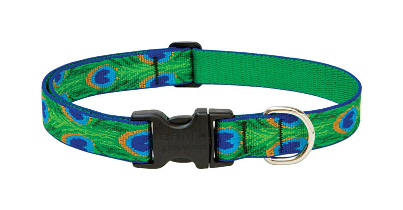 Adjustable Dog Collar with Tail Feather Design, 1 Inch by 12 to 20 Inches