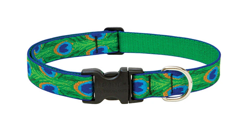 Pet Original Designs Multicolor Tail Feathers Nylon Dog Adjustable Collar 16-28 In.