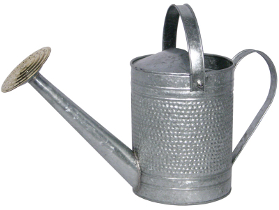 1-gallon Galvanized Watering Can - Durable And Stylish For Your Garden