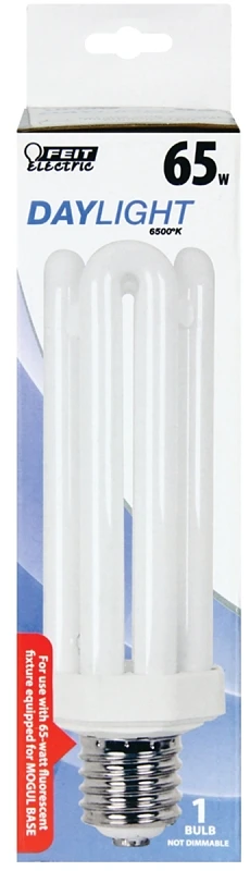 Compact Fluorescent Bulb, Natural Daylight, 4550 Lumens, 60-Watts