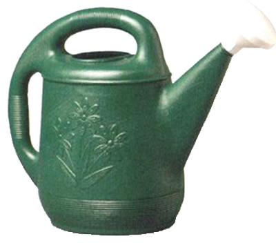 Classic Green Plastic Watering Can with 2 Gallon Capacity