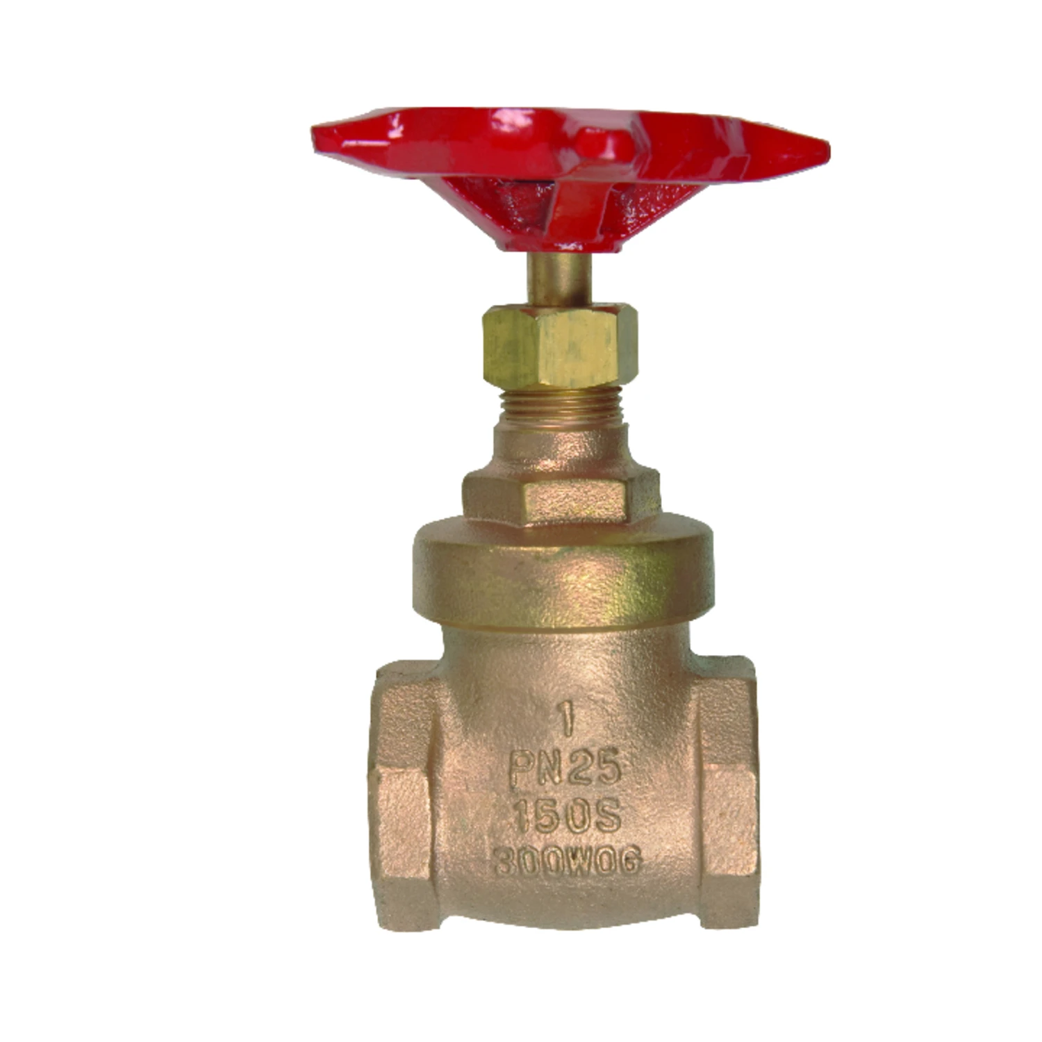 1 In. Fips X 1 In. Fips Forged Brass Gate Valve - Heavy-duty Construction