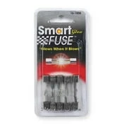 5PK AGC GLASS FUSEASSTD