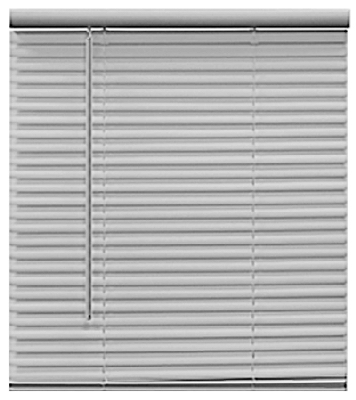 29x64 Inch Cordless Pvc Light Filtering Mini Blind - White
