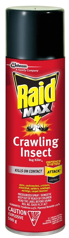 Raid Max Crawling Insect Killer Spray, 500g - Ant, Roach, Earwig Control