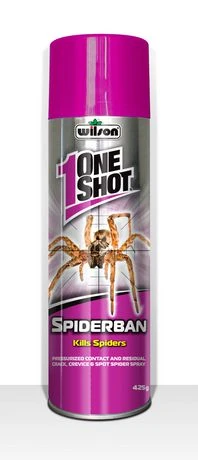 Spiderban Aerosol Insecticide - 425 G Spider Killer For Home And Garden