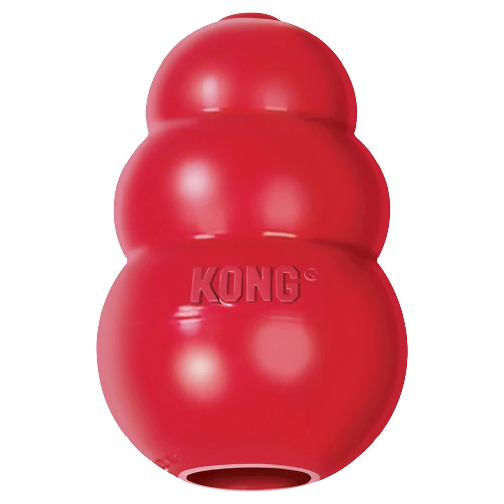 DOG TOY ORGNL XL KONG