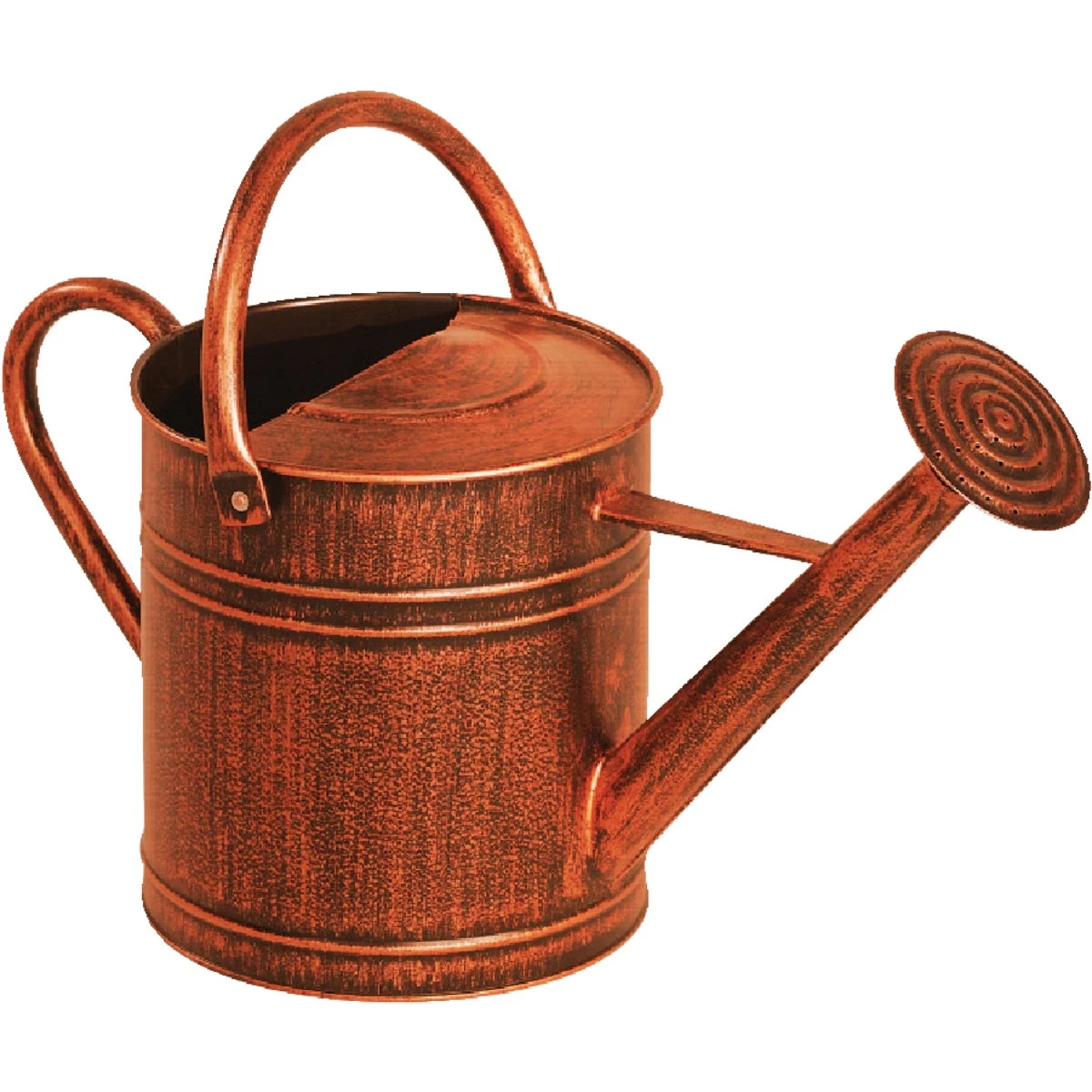 2 Gallon Brushed Bronze Metal Watering Can With Dual Handles