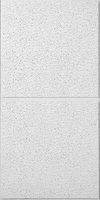 Radar Basic Illusion 2/24 Non-directional Ceiling Panel 48 In. L X 24 In. W
