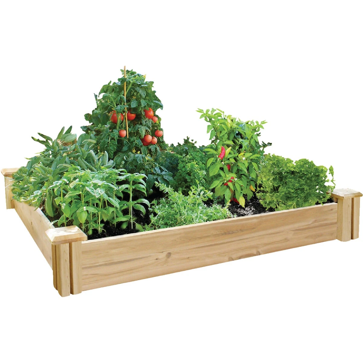 48 In. X 48 In. Cedar Raised Garden Bed By Greenes Fence - Model Rc4c4