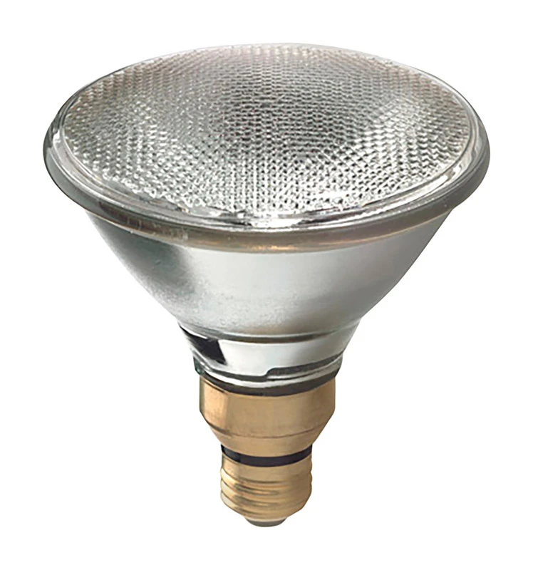 Halogen Spot Light Bulb, Par 38, 80-Watts, 1600 Lumens