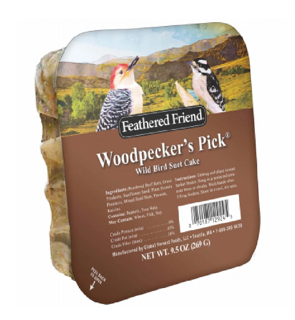 Woodpecker Suet Wild Bird Food, 9.5 Oz. - Premium Blend For Backyard Birds