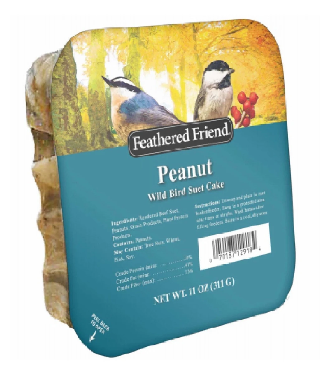 Peanut Suet Wild Bird Food, 11 Oz. - High-energy Suet Cake